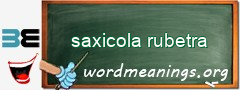 WordMeaning blackboard for saxicola rubetra